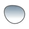 Color Tint (non)
